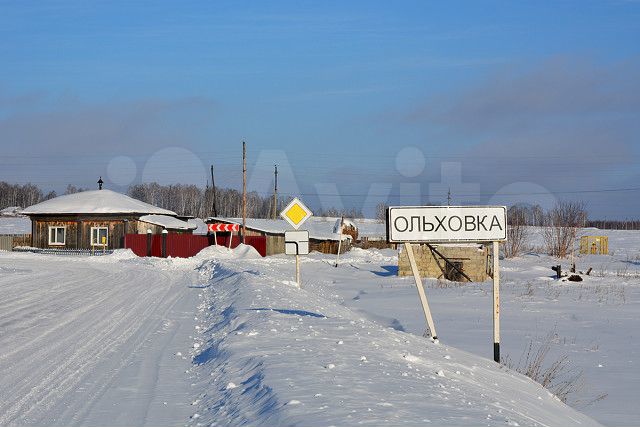 Деревня ольховка. Шадринский район деревня Ольховка. Село Ольховка Курганской области. Село Ольховка Шадринский район Курганская область. Ольховка Брянская область.