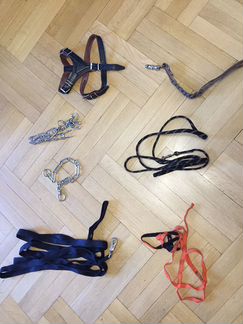 Поводок для собак