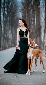 Платье в аренду Magic Night Gold
