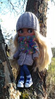 Одежда на куклу Блайз