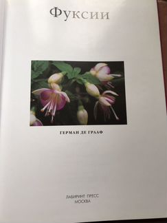 Альбом Фуксии